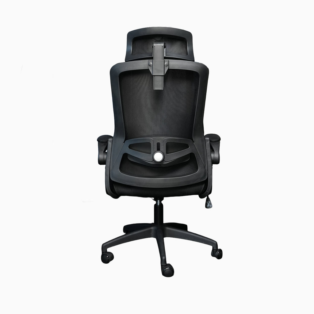 Todak Astra Ergolift