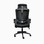 Todak Astra Ergolift