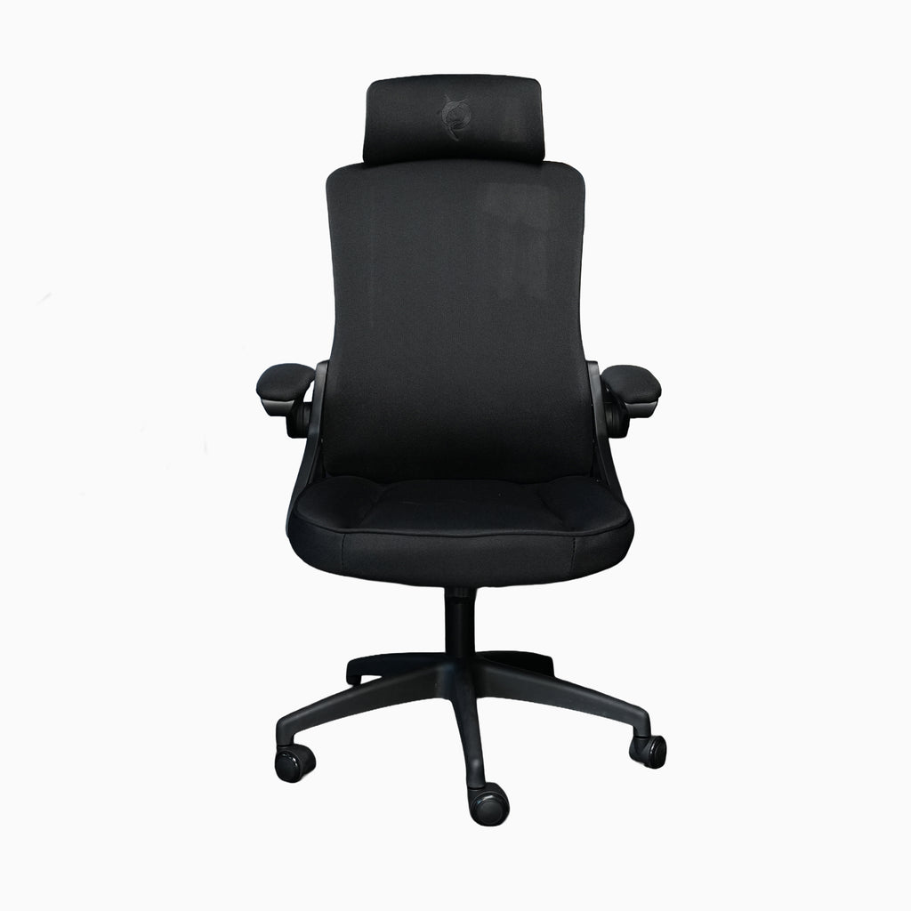 Todak Astra Ergolift