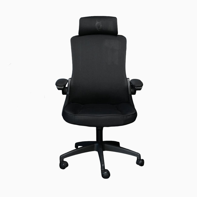 Todak Astra Ergolift Hover Image