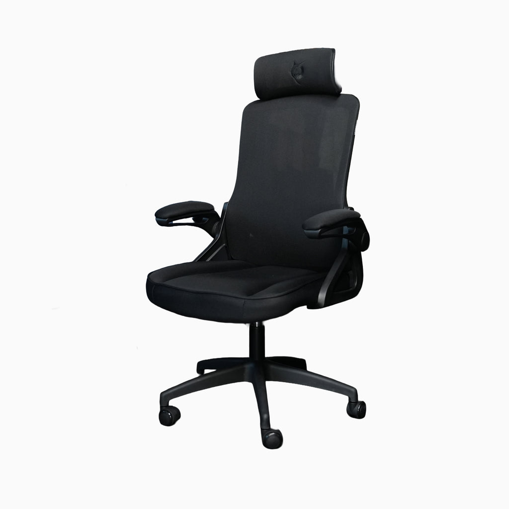 Todak Astra Ergolift